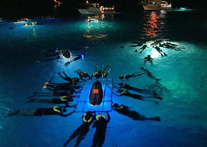 Manta Ray Night Snorkel on the Big Island